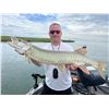 Image 1 : Walleye, Pike and Smallmouth Trip for 2 in North Dakota - Cold Water Outfitters