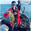 Image 2 : Walleye, Pike and Smallmouth Trip for 2 in North Dakota - Cold Water Outfitters