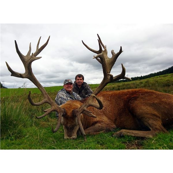 Scotland, 7 day, 1 hunter, Red Stag trophy fee not included.
