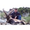 Image 10 : Spain, 2 hunters 5 days or 1 hunter for 10 days. Trophy fees not included.