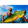 Image 5 : CARIBBEAN FISHING, DIVING & SNORKELING ADVENTURE VACATION W/ BLUE REEF ISLAND (BELIZE)