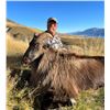 Image 3 : BULL TAHR HUNT W/ SOUTHERN MOUNTAIN ADVENTURES (NEW ZEALAND)