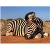Image 5 : "THE SKINS" SAFARI PACKAGE  FOR 1 (SOUTH AFRICA) W/ MONTERRA SAFARIS (BUFFALO, GIRAFFE, ZEBRA