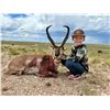Image 4 : PRONGHORN ANTELOPE HUNT FOR 1 (NEAR FORT SUMNER, NM) W/ G3 OUTFITTERS