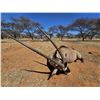Image 7 : 10-DAY PLAINS GAME SAFARI FOR 1 (SOUTH AFRICA) W/ HARTZVIEW HUNTING SAFARIS