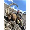 Image 4 : PAMIR IBEX HUNT FOR 1 (TAJIKISTAN) W/ GLOBAL SAFARI OUTFITTERS