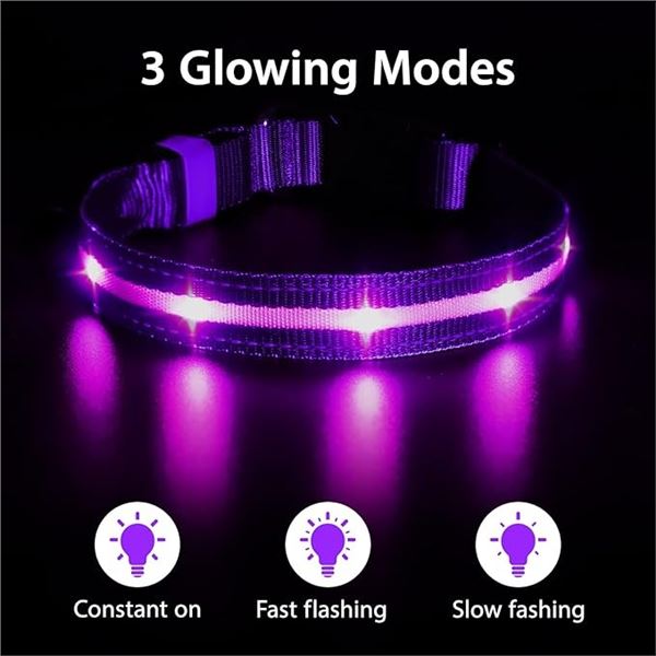 2 Masbrill LED Light-Up Dog Collars/Safety Collars - Size Medium - Purple - Brand New