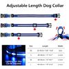 Image 4 : 2 Masbrill LED Light-Up Dog Collars/Safety Collars - Size Medium - Blue - Brand New