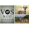 Image 1 : Vos and Co Safari / South Africa