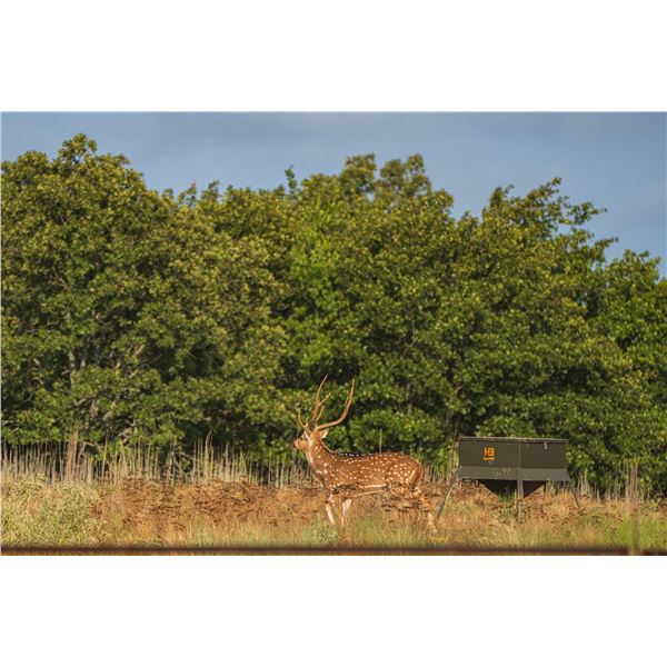 Corn Feeder / HB Hunting Products