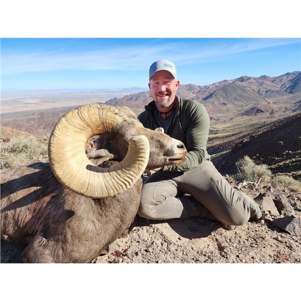 CA Desert Bighorn Sheep Tag – Zone 2