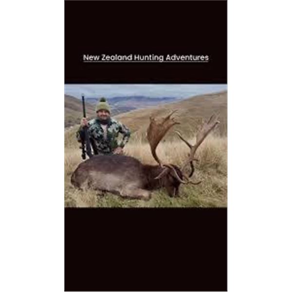 New Zealand Fallow Buck Hunt