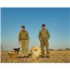 Image 3 : Naming Rights for 2 Anti-Poaching dogs in South Africa