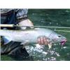 Image 4 : 2-Day Fall or Winter Steelhead Fishing Trip for 2 Anglers - Murphy Sport Fishing