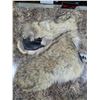 Image 1 : Genuine Coyote Mitts