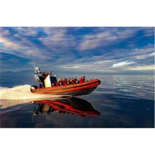 Cowichan Bay sunset whale & wildlife gift card