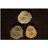 Image 2 : 3- CLAY & LEAD MOLDED COIN SIZE SEAL IMPRESSIONS