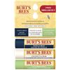 Image 1 : NEW 3 PACK BURT'S BEES MOISTURIZING LIP BALM