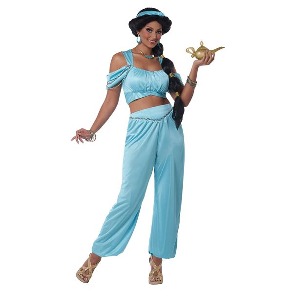 NEW CALIFORNIA COSTUMES CLASSIC ARABIAN PRINCESS