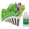 Image 1 : NEW 6 POD AEROGARDEN SEED POD KIT PESTO BASIL