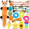 Image 1 : NEW 21 PACK LOYEE DOG TOYS