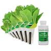 Image 1 : NEW 9 POD KIT AERO GARDEN SEED POD KIT ROMAINE