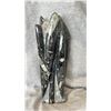 Image 2 : 12.5" X 5" ORTHOCERAS FOSSIL