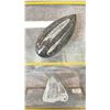 Image 2 : ORTHOCERAS FOSSIL DISPLAY