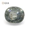 Elegant 3.04 Ct GIA Certified Natural Sapphire