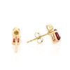 Image 2 : Plated 18KT Yellow Gold and Sterling Silver 0.95ctw Garnet Earrings