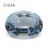 Huge 16.06 Ct GIA Certified Natural Aquamarine