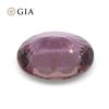 Image 4 : Pretty GIA Certified 1.60 Ct Natural Sapphire