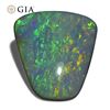 Huge Rare 8.01 Ct GIA Certified Natural Opal