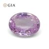 Lovely 1.87 Ct GIA Certified Natural Sapphire