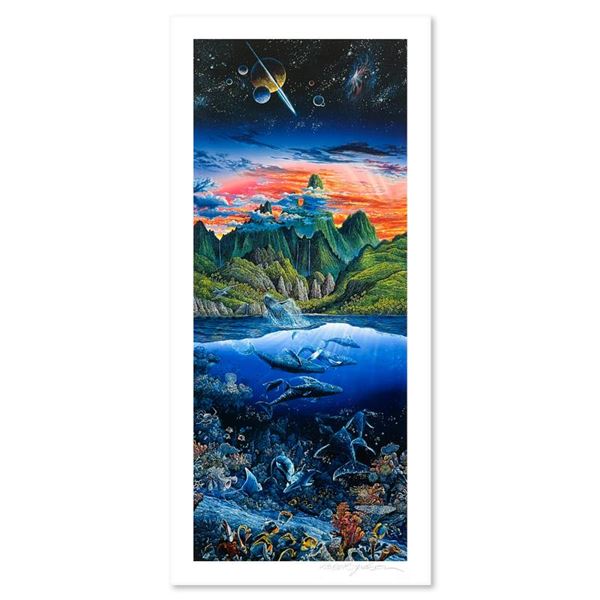 Oasis by Nelson Robert Lyn