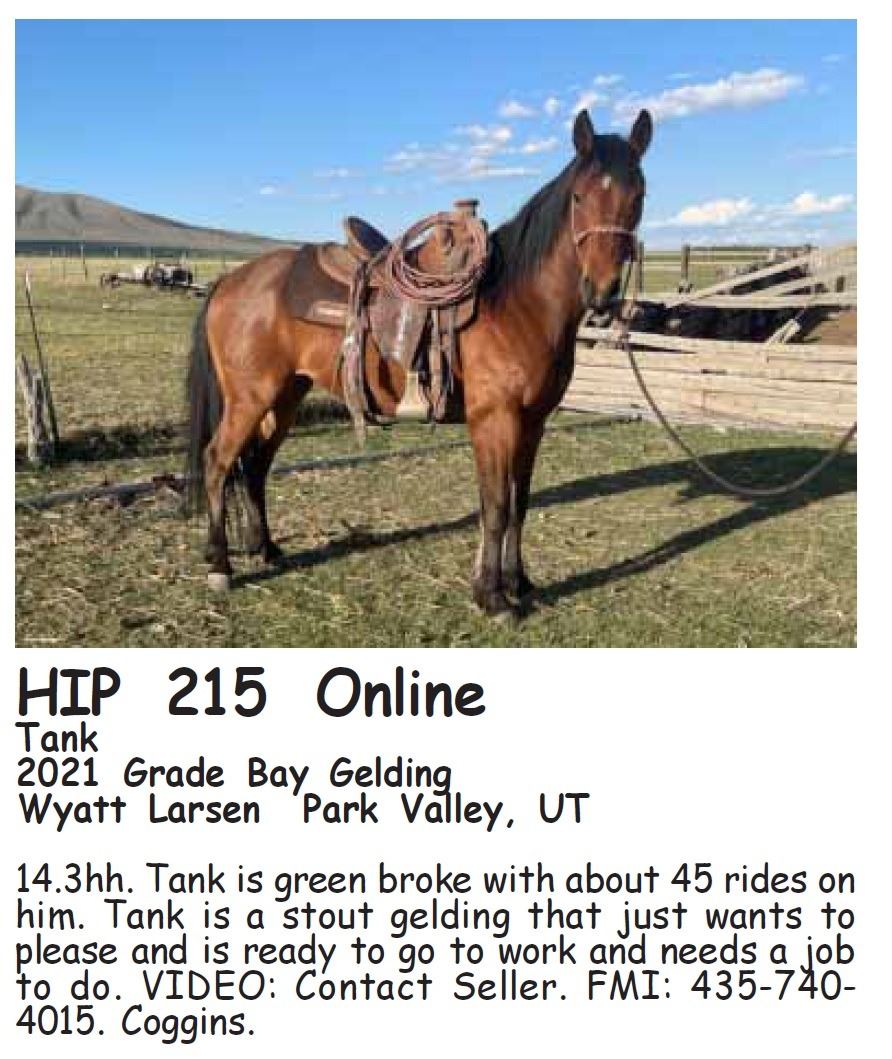 Tank Northern Livestock Video Auction