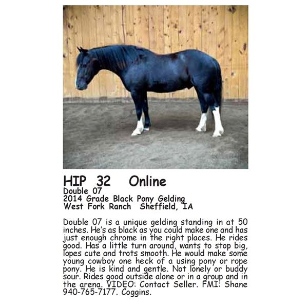 Double 07 Northern Livestock Video Auction