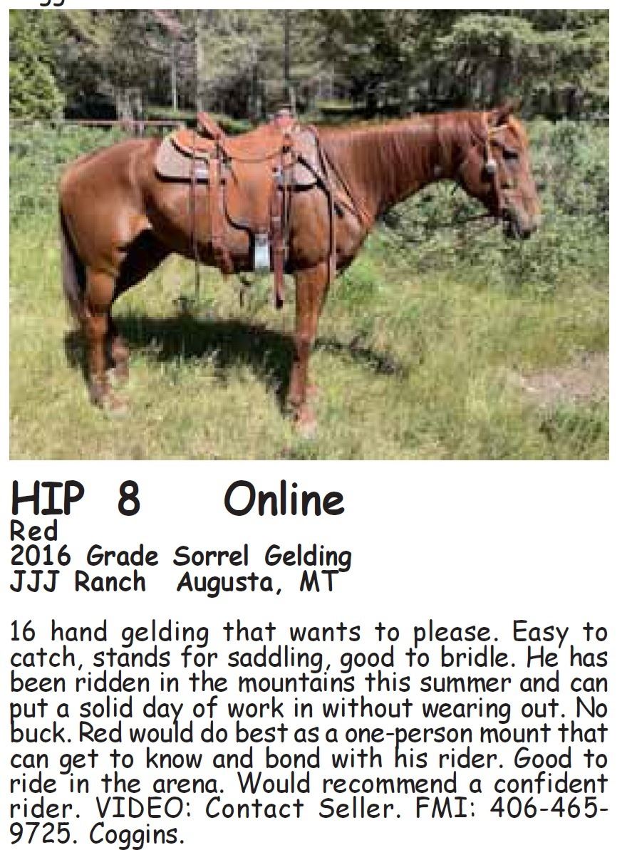 Red Northern Livestock Video Auction