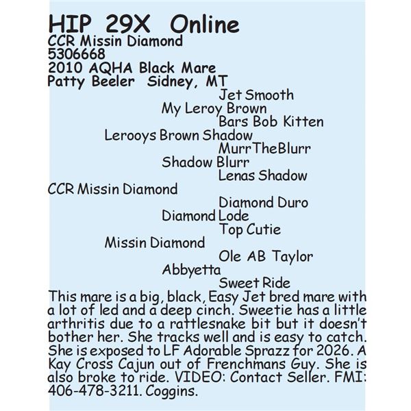 CCR Missin Diamond