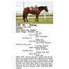 Image 1 : Hickorys King Louie