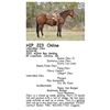 Image 1 : Unbridled Chex