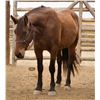Image 14 : Beulah  - SELLS CHOICE WITH 234 CAN TAKE ONE OR BOTH!