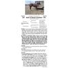 Image 1 : ALG A Smart Feature