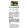 Image 1 : Duals Seventh Heaven