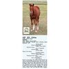 Image 1 : Sheza Lotta Rosie