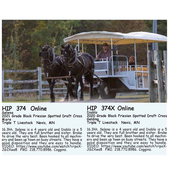 Selena - SELLS WITH 374X MUST TAKE BOTH!