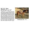 Image 1 : Tennessee Jed - TJ