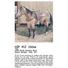Image 1 : Tilly