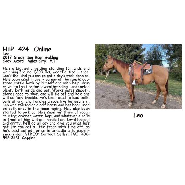 Leo