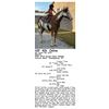 Image 1 : NV Catch My Drift
